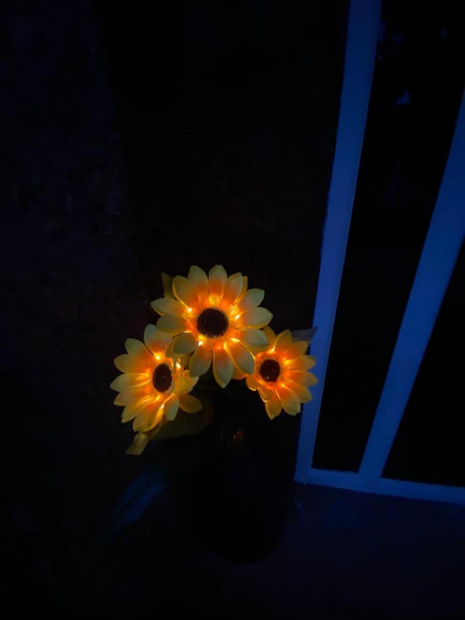 The Charming Nights Ξενοδοχείο Palolem Εξωτερικό φωτογραφία